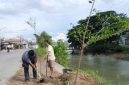 Relawan gerakan 'Banten Teduh, Tangerang Sejuk' (BATAS) saat Menanam Pohon di Bantaran Sungai Cisadane. Foto: BantenPos.id