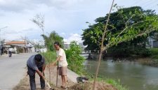 Relawan gerakan 'Banten Teduh, Tangerang Sejuk' (BATAS) saat Menanam Pohon di Bantaran Sungai Cisadane. Foto: BantenPos.id