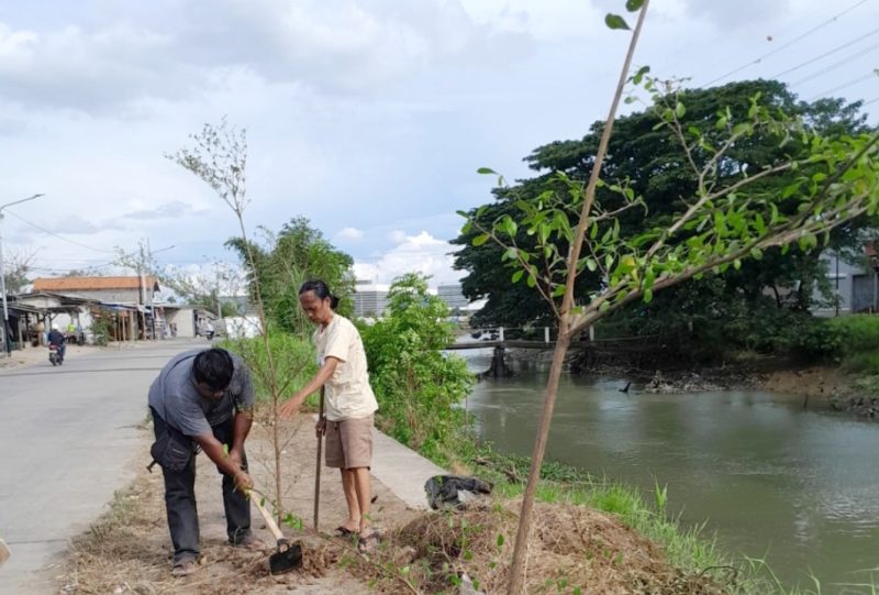 Relawan gerakan 'Banten Teduh, Tangerang Sejuk' (BATAS) saat Menanam Pohon di Bantaran Sungai Cisadane. Foto: BantenPos.id