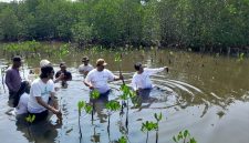 Aktivis Lingkungan Hidup Tangerang saat aksi penanaman 5.000 bibit mangrove rhizhopora sp atau bakau di Tangerang Mangrove Centre, Tanjung Pasir Kecamatan Teluknaga Kabupaten Tangerang. Foto: BantenPos.id