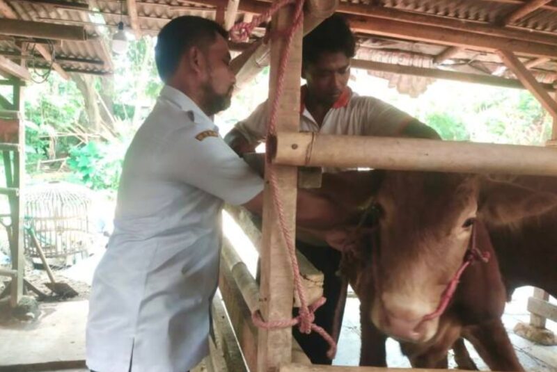 Petugas DKP Kota Tangerang memeriksa kondisi kesehatan hewan kurban di lapak-lapak di Kota Tangerang. Foto: ist