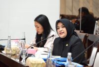 Anggota Komisi XI DPR RI Fraksi Partai Gerindra, Annisa Mahesa. Foto: ist